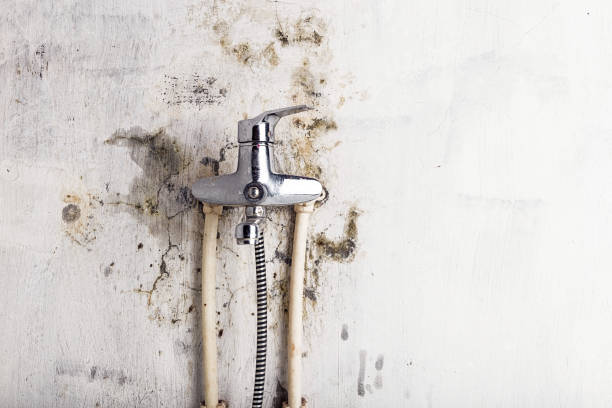 Best Water Damage Restoration  in Centre, AL